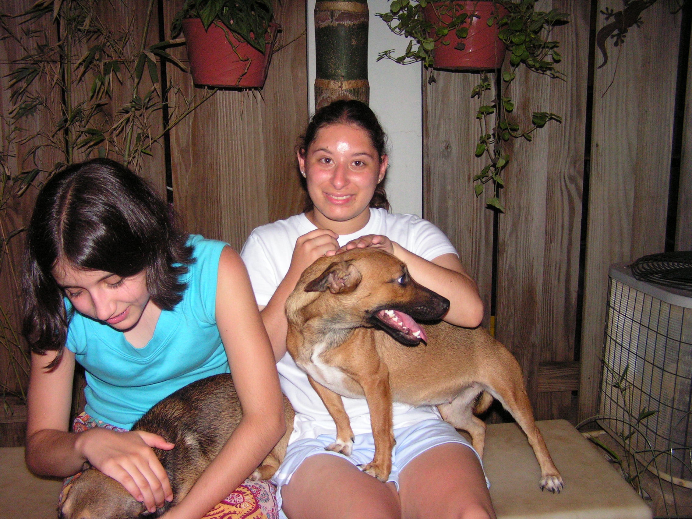 ./2005/Puerto Rico/Part 2/PICT0352.JPG